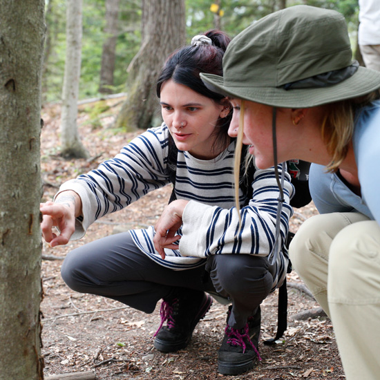 Faculty-Student Research