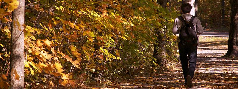 Skidmore in the fall
