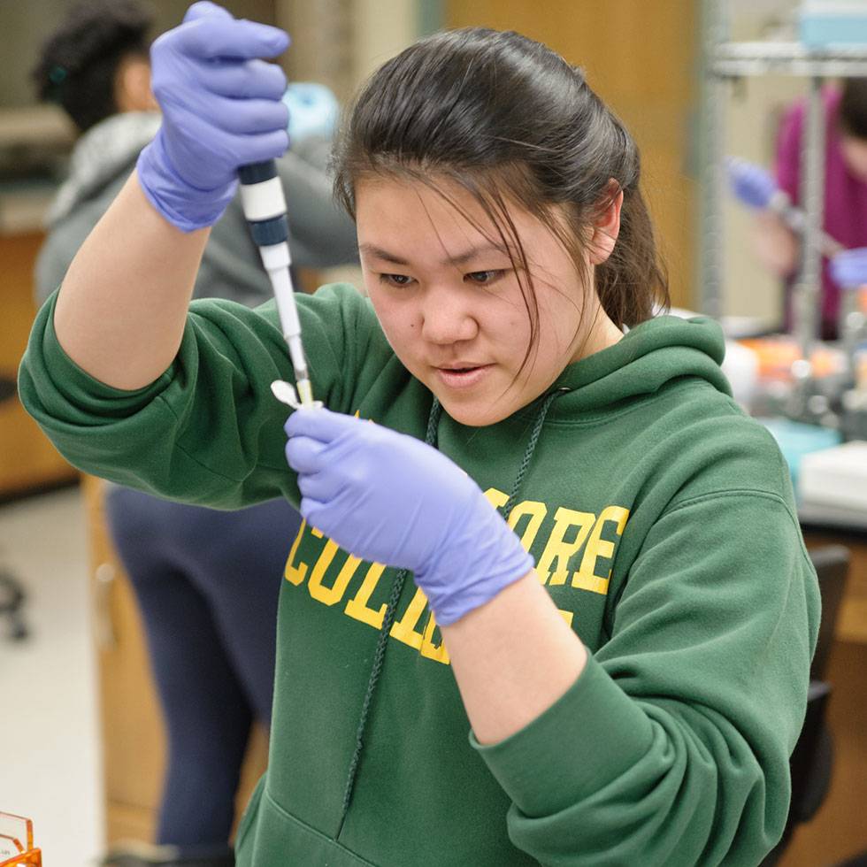 A student in a Skidmore sweatshirt uses a pipette during a biology research experiment