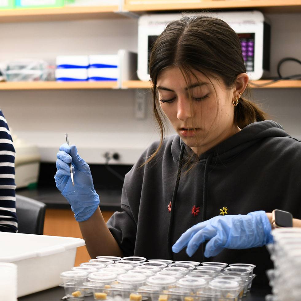 A student conducts an experiment in a Skidmore lab
