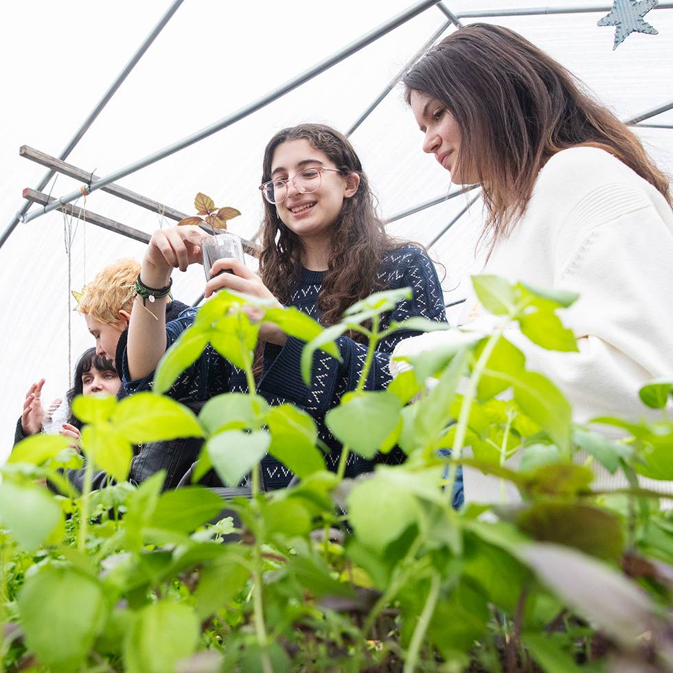 Students work with plants in the greenhouse