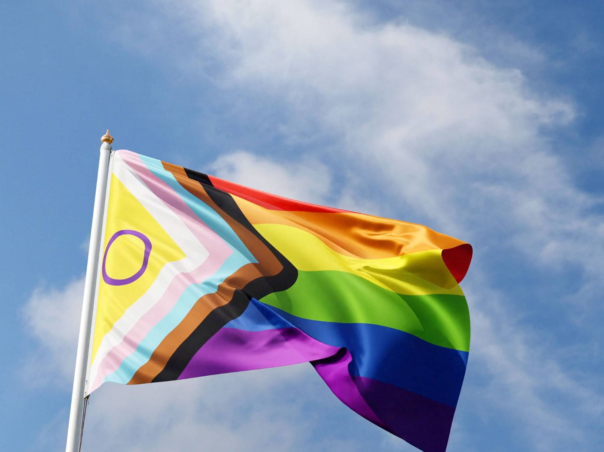 Inclusion flag flying in a blue sky