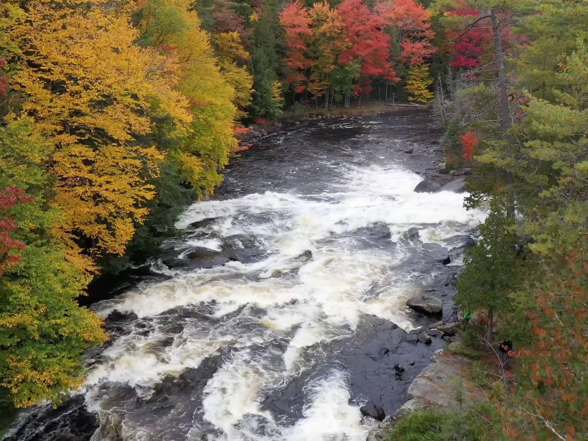 A rushing river with beautiful fall trees on either side