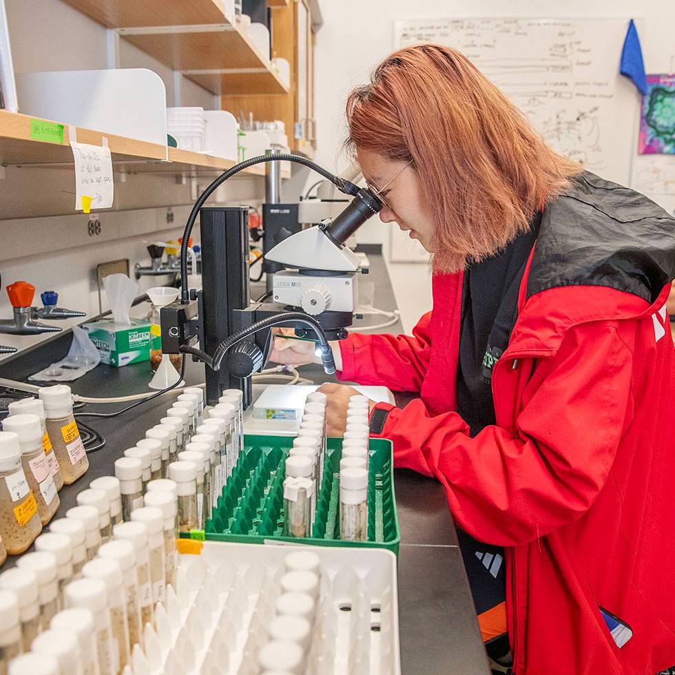 A student in a red jacket examines a test tube under a microscope in a research laboratory, surrounded by scientific equipment and sample vials.