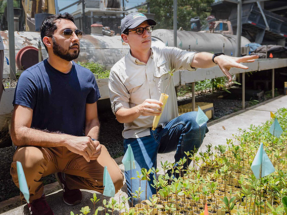 During a site visit to Protectores de Cuencas in Puerto Rico, Melvin Alvarez ’15 observes mangrove nursery and restoration work designed to support coastal resilience.